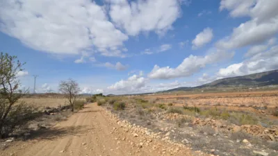 Terreno en venta en El Pinós - Pinoso - Vista 4