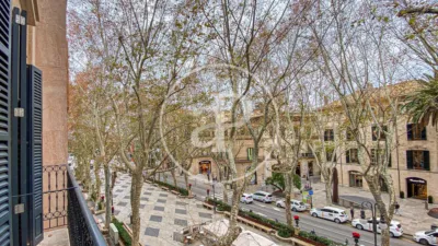 Apartamento en Sant Nicolau photo 3