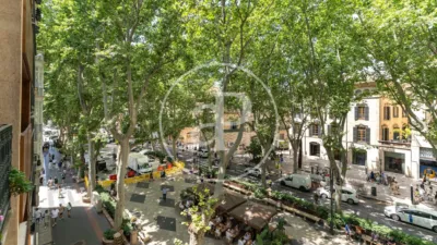 Apartamento en Sant Nicolau photo 35