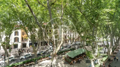 Apartamento en Sant Nicolau photo 36