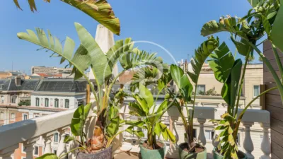 Apartamento en alquiler en Sant Gervasi-Galvany - Imagen 38
