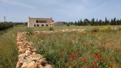 Finca rústica en alquiler en Algaida, Algaida de 5.500 €<span>/mes</span>