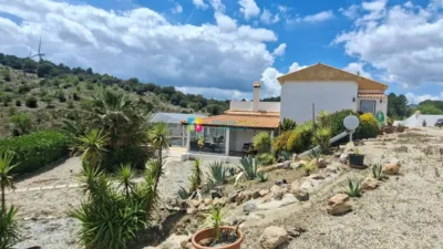 Rustic Finca in Huércal-Overa photo 22