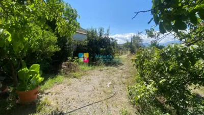 Rustic finca in Lúcar photo 18