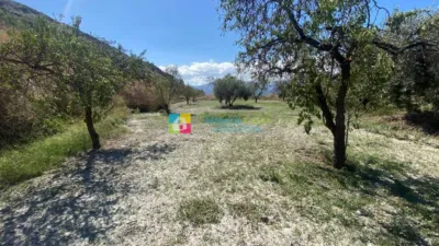 Rustic finca in Lúcar photo 20