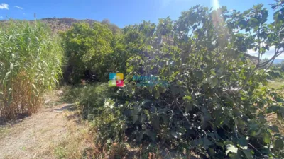 Rustic finca in Lúcar photo 21