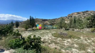 Rustic finca in Lúcar photo 23