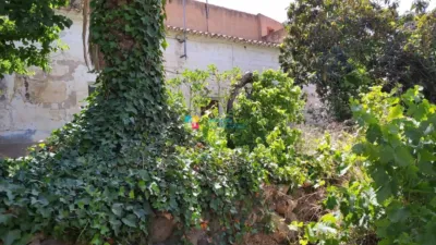 Rustic Finca in Albox photo 4