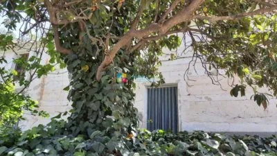 Rustic Finca in Albox photo 5