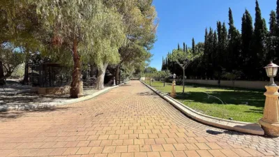 Casa – Salinas, Cecilia Bartolomé (Mujeres Libres), l'Alt Vinalopó / El Alto Vinalopó - Vista 5