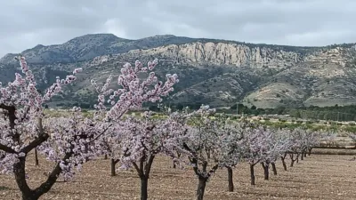 Terreno en venta en El Pinós - Pinoso - Vista 2