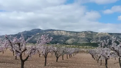 Terreno en venta en El Pinós - Pinoso - Vista 3