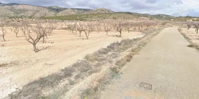 Terreno en venta en El Pinós - Pinoso - Vista 5