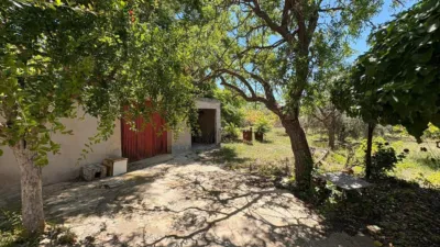Rustic Finca in La Romana photo 4