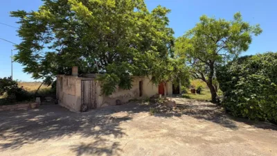 Rustic Finca in La Romana photo 5