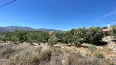 Rustic Finca in Somontín photo 22