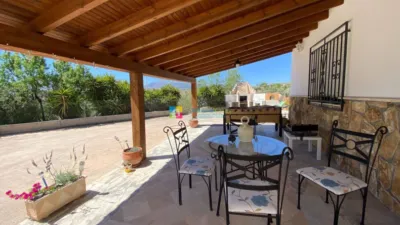 Rustic Finca in Somontín photo 3