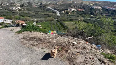 Rustic finca in Oria photo 11