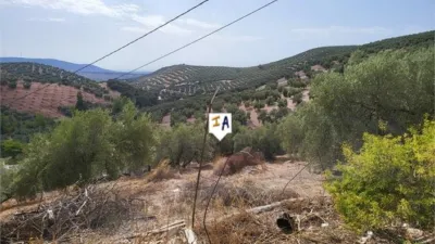 Rustic Finca in Villanueva de Algaidas photo 4