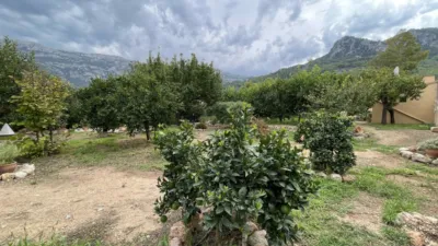 Rustic finca in Sóller photo 10