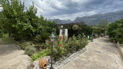 Rustic finca in Sóller photo 5