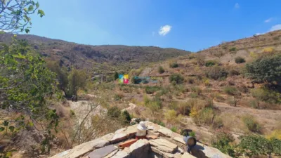Rustic Finca in Albanchez photo 4