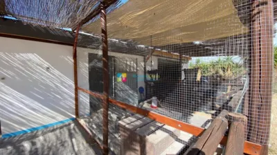Rustic Finca in Albox photo 46
