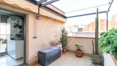 House in El Camp de l'Arpa del Clot photo 36