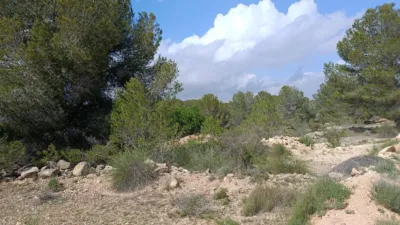 Terreno en venta en Monòver - Monóvar - Vista 3