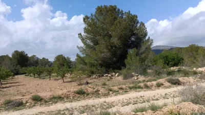 Terreno en venta en Monòver - Monóvar - Vista 4