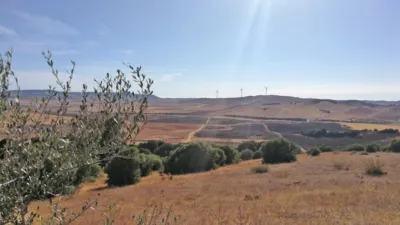 Finca rústica en Vejer de la Frontera photo 4