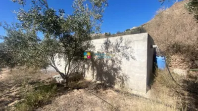 Rustic Finca in Somontín photo 13
