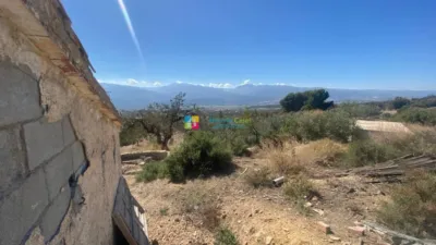 Rustic Finca in Somontín photo 15
