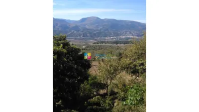 Rustic Finca in Somontín photo 16