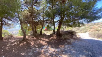Rustic Finca in Somontín photo 19