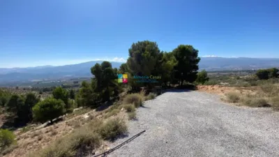 Rustic Finca in Somontín photo 20
