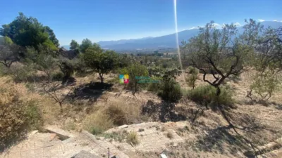 Rustic Finca in Somontín photo 3
