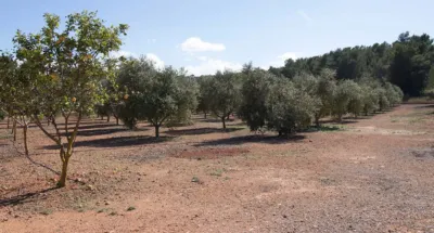 Casa en venta en Ciudad, Ciudad (O Irixo) de 2.650.000 €