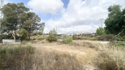 Casa en Crevillent photo 10