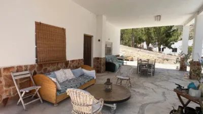 Rustic Finca in Crevillent photo 14