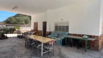 Rustic Finca in Crevillent photo 15
