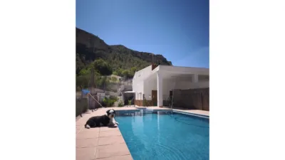 Rustic Finca in Crevillent photo 2