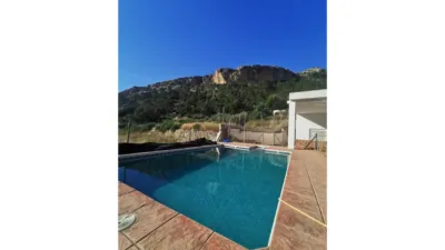 Rustic Finca in Crevillent photo 5