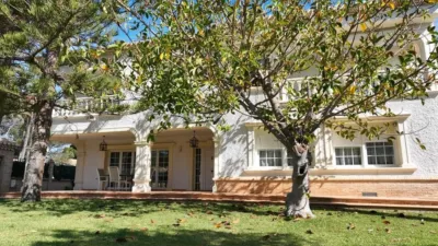 Villa in Cabo Roig-La Zenia-La Regia photo 10