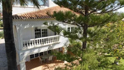 Villa in Cabo Roig-La Zenia-La Regia photo 12