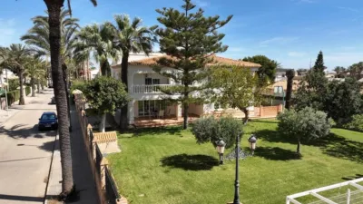 Villa in Cabo Roig-La Zenia-La Regia photo 15