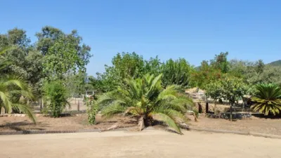 Rustic finca in Espiel photo 10