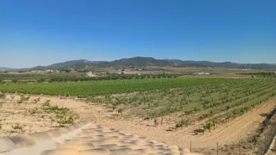 Rustic finca in El Pinós - Pinoso photo 2