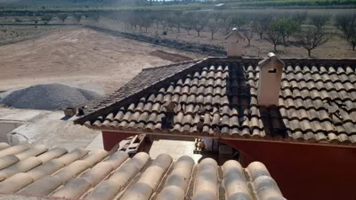 Rustic finca in El Pinós - Pinoso photo 4