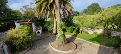 House in Nueva (Llanes) photo 46